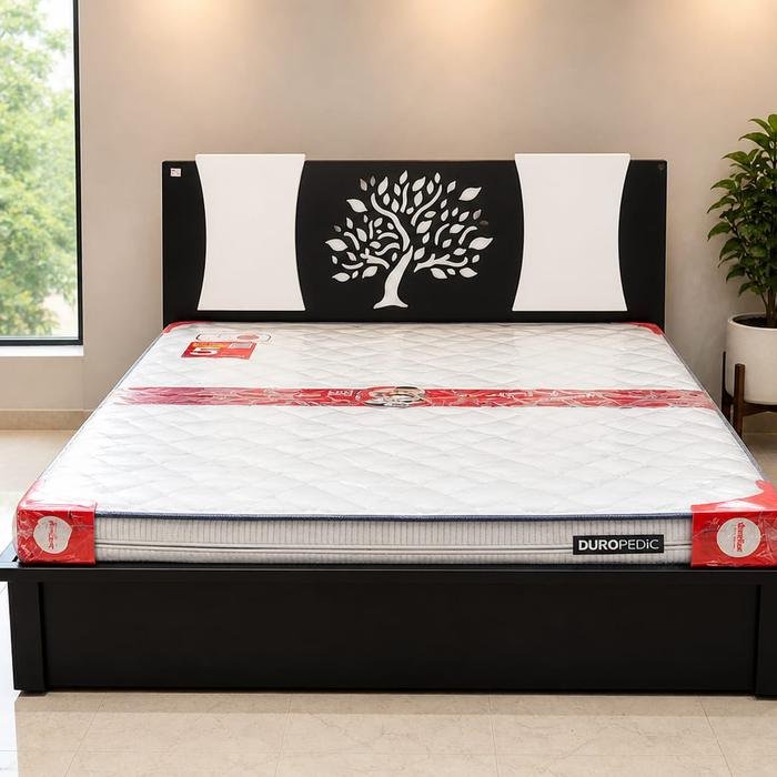 Delonix Bed — Furniture Mall, R.P.S. More, Bailey Road, Patna
