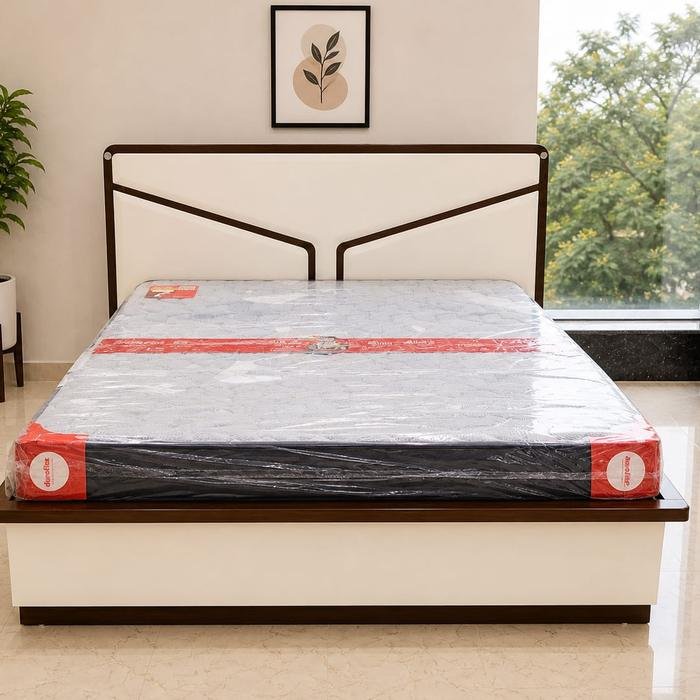 Nelson Bed — Furniture Mall, R.P.S. More, Bailey Road, Patna